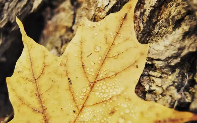 �ϰ���ô������Ȧ̫�ио���