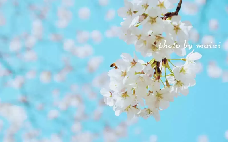 ���������������İ������������ͨ͸�����ǻ�