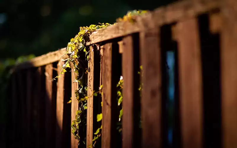 һ��Ů������������Ȧ���ͨ͸�ִ���