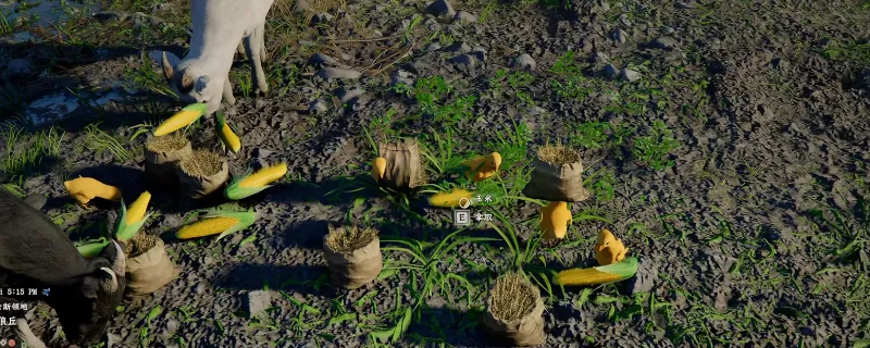 ����ɫɳĮ��������ֳ����-������ٳɳ��뷱ֳ����