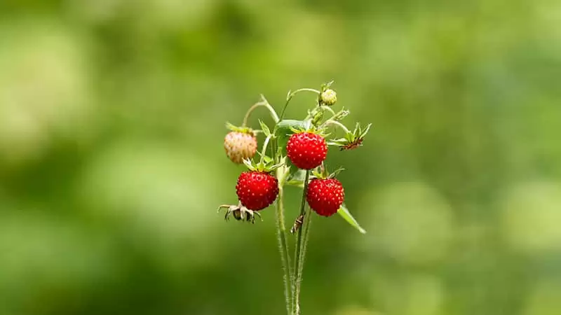 ʰһ��Ц�����ٶ�ͨ����