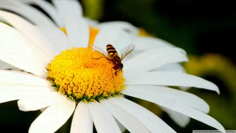 ����û��һ�����˿���ס��������