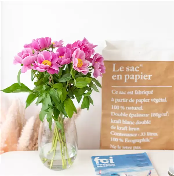 �������á���ͷ���󣡾���������ҩ���� 19.9Ԫ���������Ҿӷ�Χ