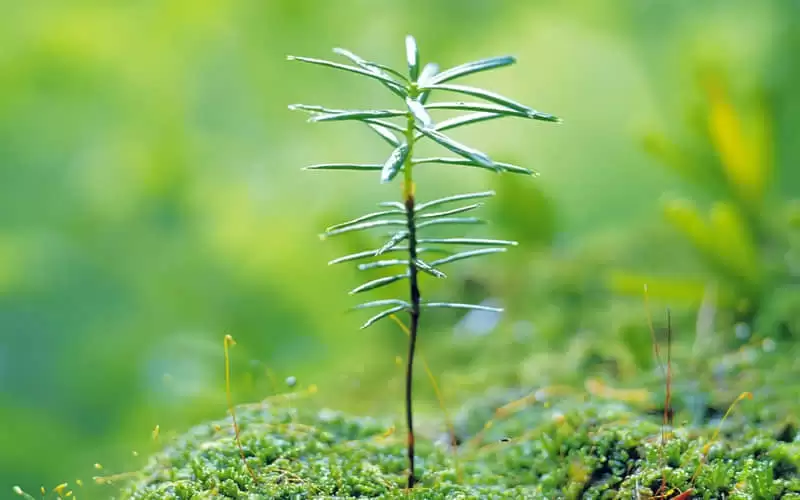 ��������������������������