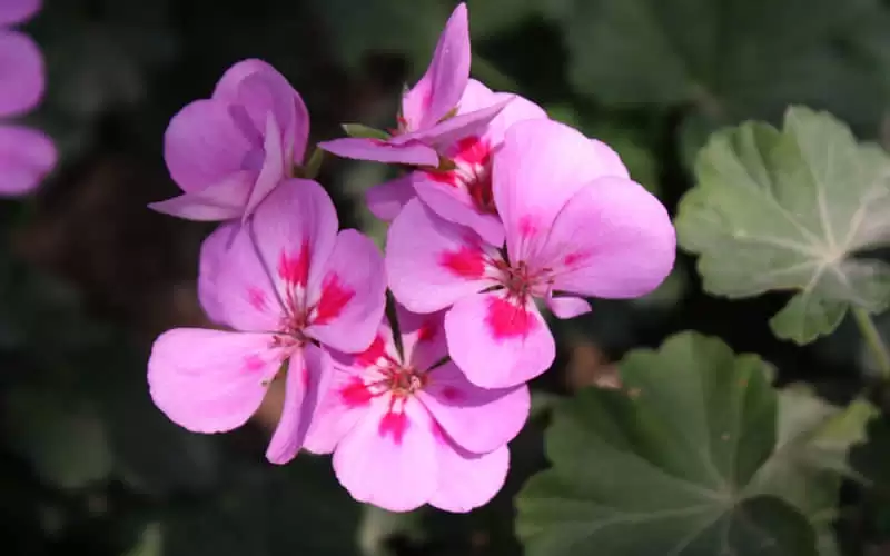 �͹�ʱ��һ��ȥ�����Լ�