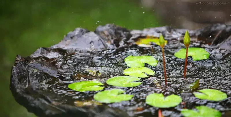 ̫����������һ�������Լ�~