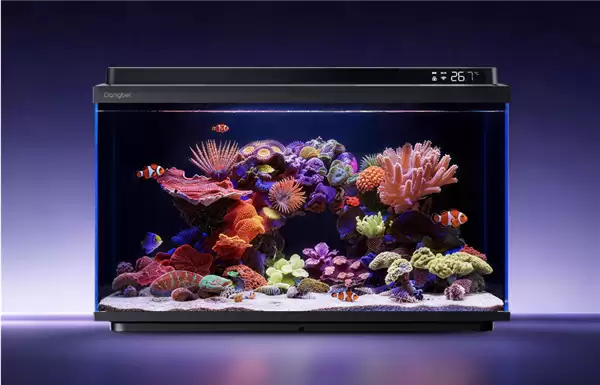 �������2S Ultra�ذ����� ��AI�������ܸ߶�ˮ����̬�±�׼