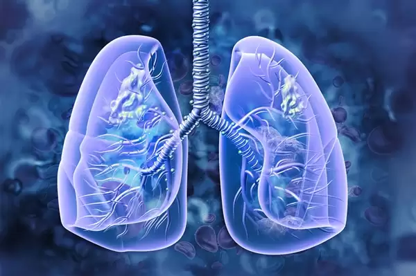 ���ӷ�������ͷ�ط������ݣ���������