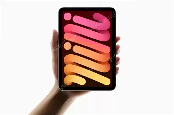 iPad mini 6��Ļ�ϴ�ԭ�����_iPad mini 6�������ָ��