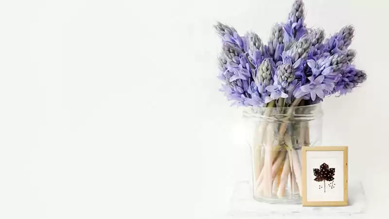 /.��һ������߼��簲�İ�д���˼�����