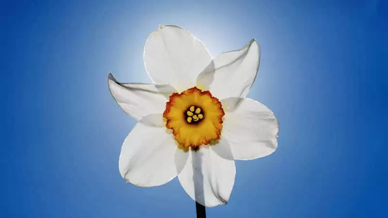 �����ľͻ�˳˳���İ�