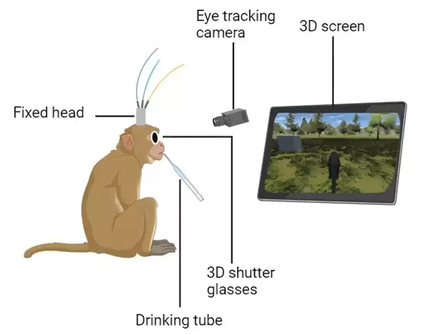 �Ի��ӿ��ú��������˰Ѻڿ͵۹� ���ɴ�������ɭ��