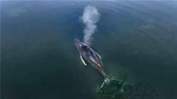 ��ͷ���ڵ¹���ǳ1���� Ůѧ������Ϊ�߻� Ϊ��������ṩ�Ǽܣ�