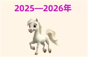 2026����Ф����ȫ֪��