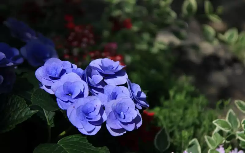 ������������������Ȧ�İ�