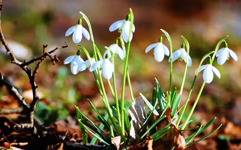 ���������ֻ��˵'�������'�������������ֻ���