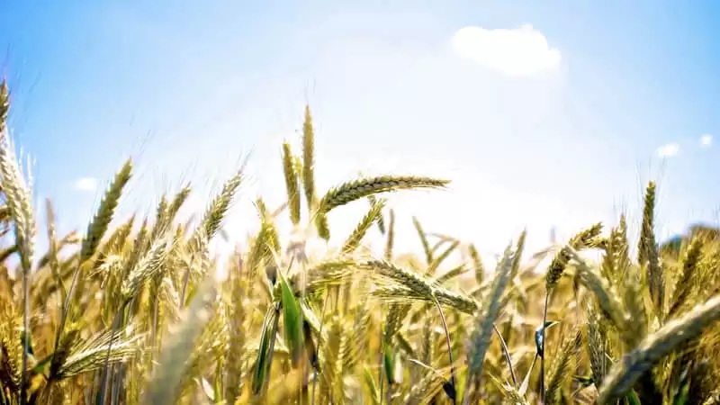 �����Ů�����������˵����Ӹ���������