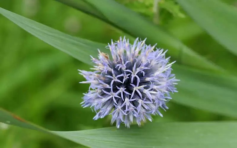 "��Խ��ô˵��Խ����ϵ��"