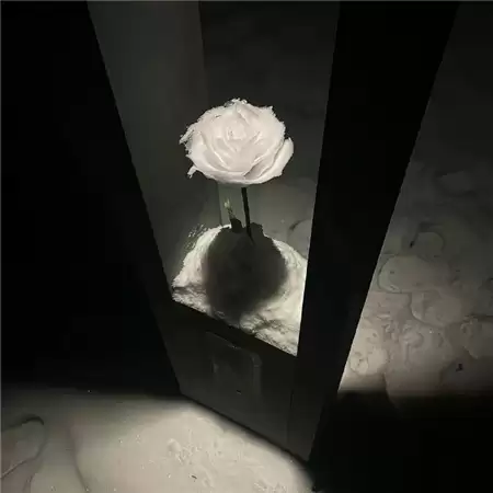 ���������İ��˸�Ů��(��ѡ100��)