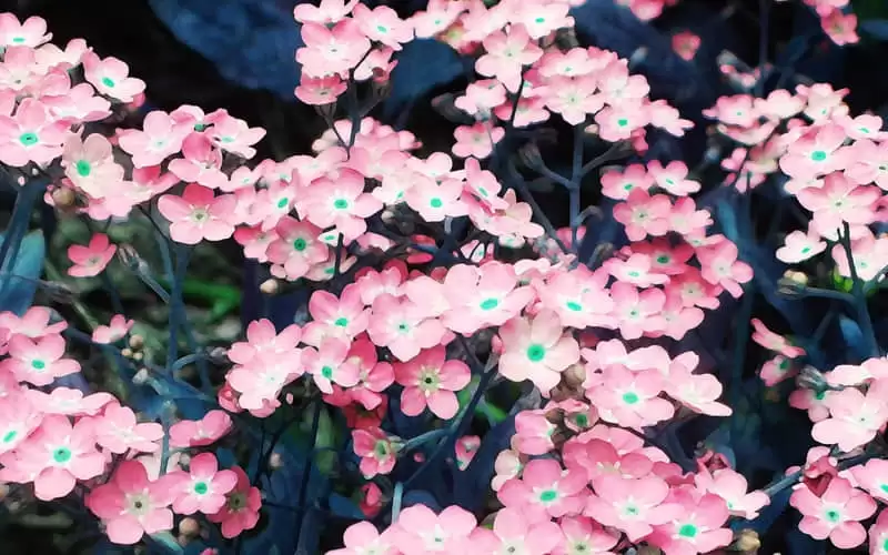 �����ĲŻ�˳˳������Ȧ�İ�