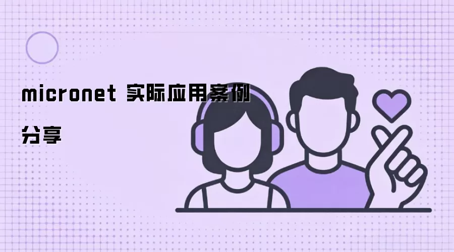 micronet ʵ��Ӧ�ð�������