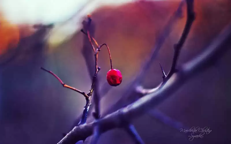 �簲Ը�������������ﷱ���ƽ�