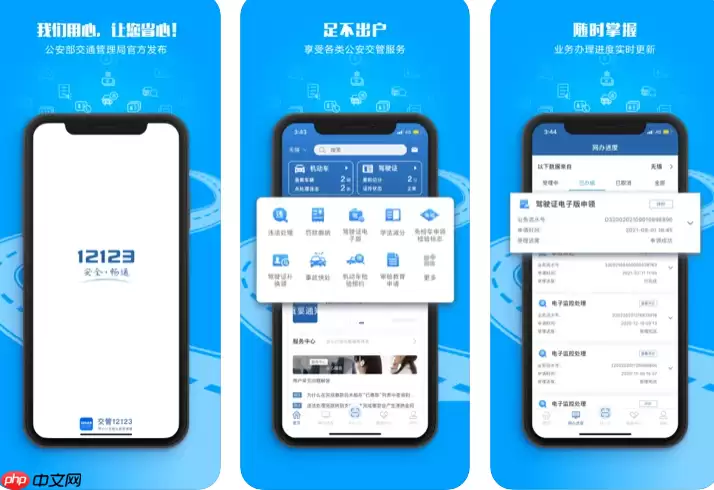 ����������12123�ٷ���վ��� ����12123�ۺϹ���ƽ̨��ҳ���