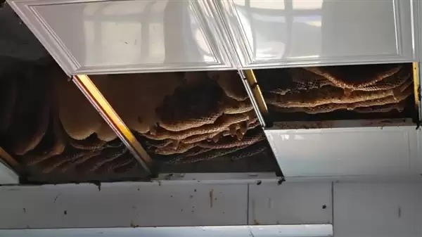 ������ ����һ���˼Ҿ���1�׾��ͷ䳲 ����Ͱװ����