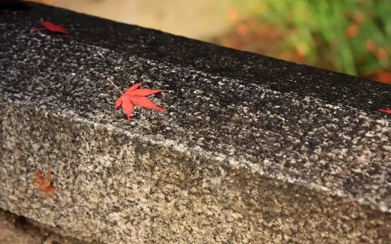 ���������˺ܰ�����һ�׵�