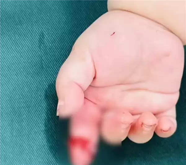 ���豧�޲��ݣ���������7��Ů��ʳָ ����3Сʱ�ɹ�����