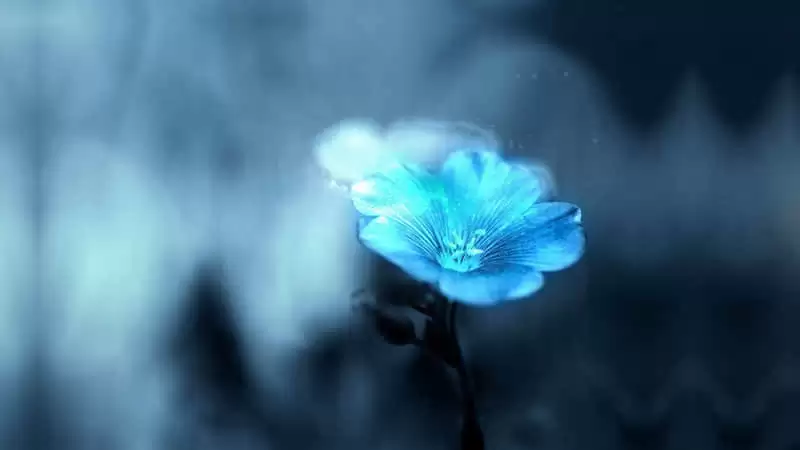 ��������Ů�˲Żᷢ������Ȧ���ͨ͸�������