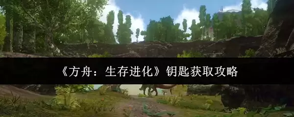 �����ۣ����������Կ�׻�ȡ����