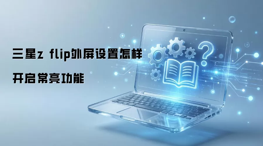 ����z flip������������������������