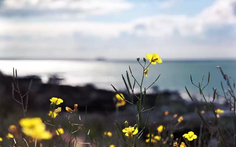 ���й�������Ȧ�����Ц�İ�