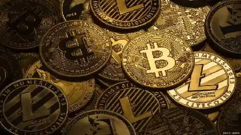 RAVE���ҵ��ձ���80% ŷ��������������