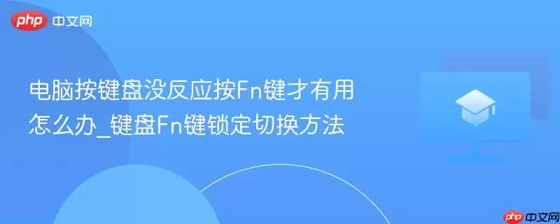 ���԰�����û��Ӧ��Fn����������ô��_����Fn�������л�����