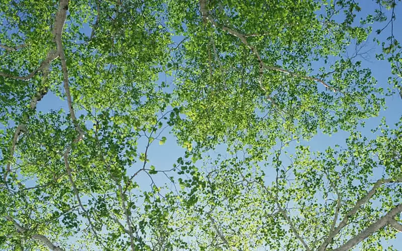 Ů������Ȧ��ô��û�˸�������