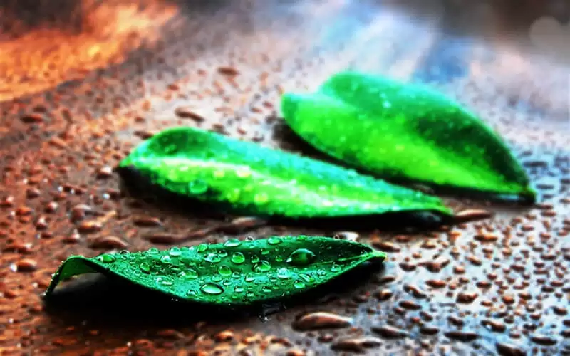 ��ϲ����һ�λ�