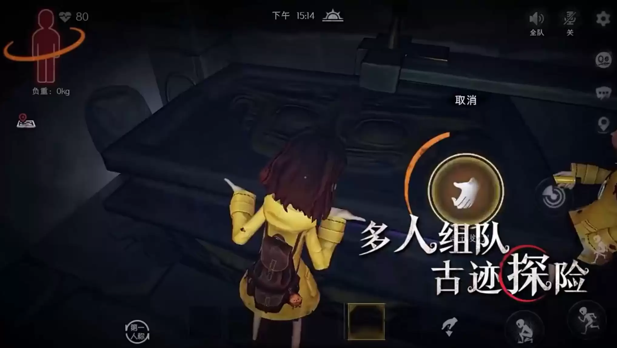 2026����Ŀֲ����������Ƽ�