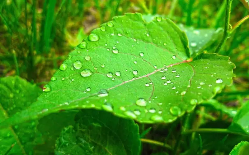 ÿ��һ��С��ʫ���Ҳ��˺ܾõ�����