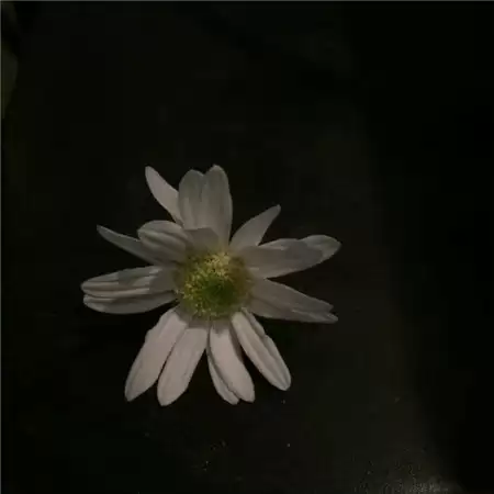 ��������2�����˸�Ů��(��ѡ100��)