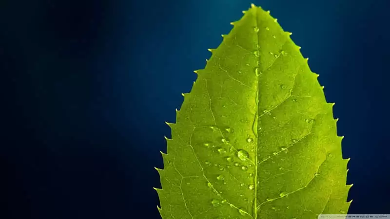 �����е���������