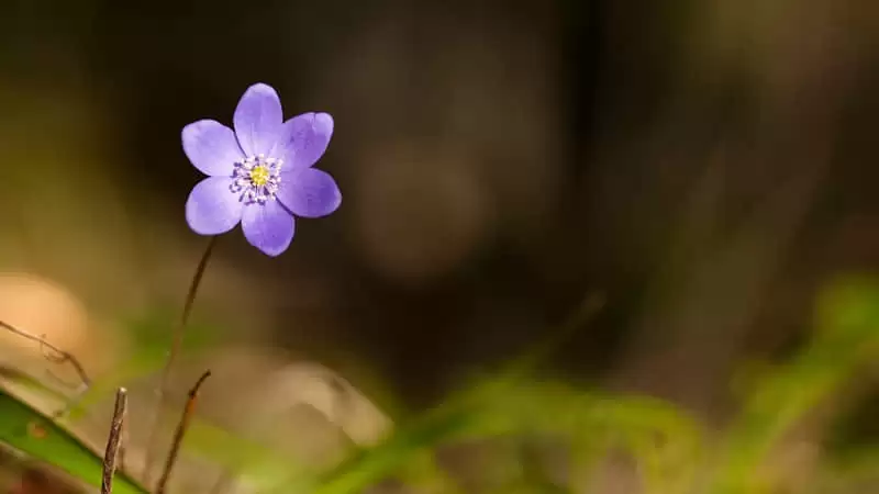 �ܳ��õķ���ӵ��8������