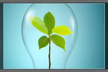 �����ϲ��ܹ�ע������ô�����Ǳ������ˣ�����֪���������Է�������