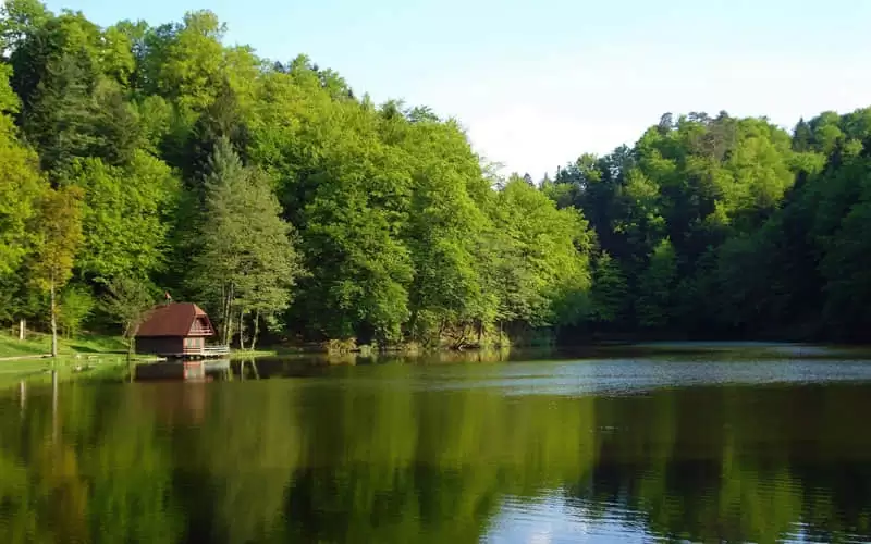 ��������������������켼��