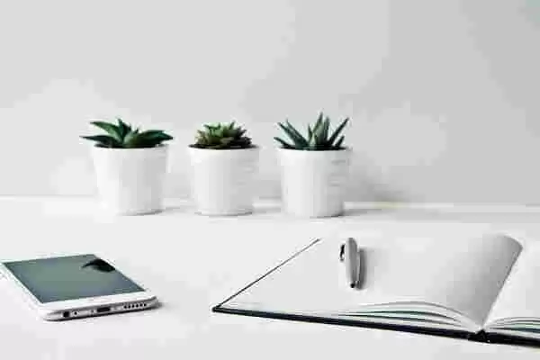 ������ô���ö���������һ��Ҷ�ò�������