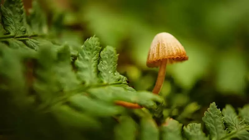 ���˿���˲�����Ů�˿���˲������