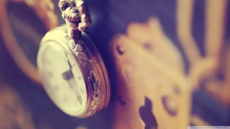 ���Ӻ��̵���2026������������¼