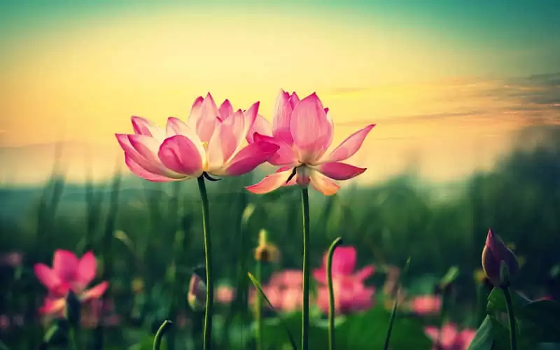 ʧ��ʱ������û���˲�������