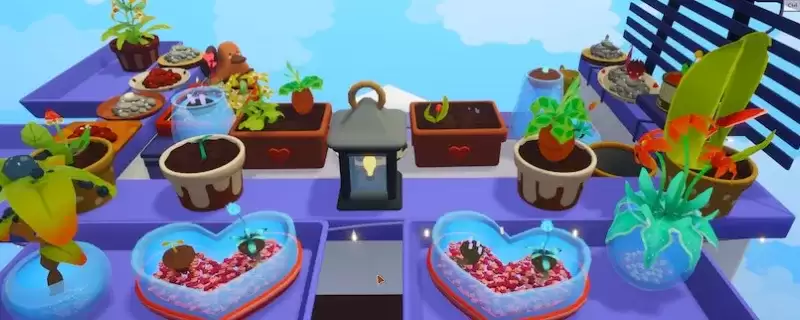 ��Gardenin��������������-ֲ��ڷż��ɷ���